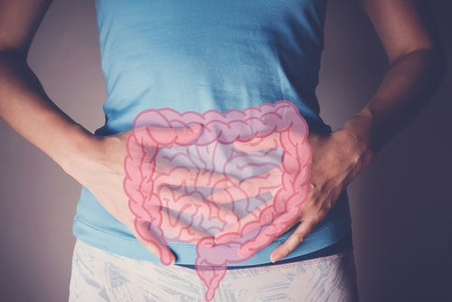 Can Healing Your Gut Improve Joint Lubrication and Flexibility?