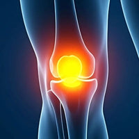 Knees