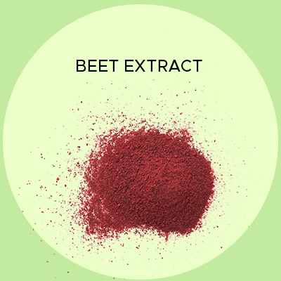 Beet Extract. Nitric oxide. Antioxidant Activity.