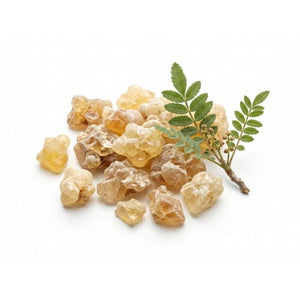 Boswellia serrata