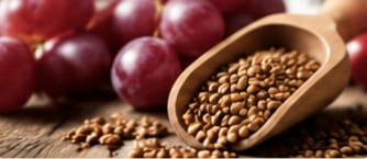 Grape Seed