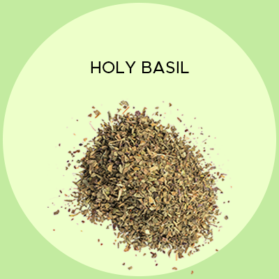 Holy Basil. Muscle relaxation. Adaptogenic effects.