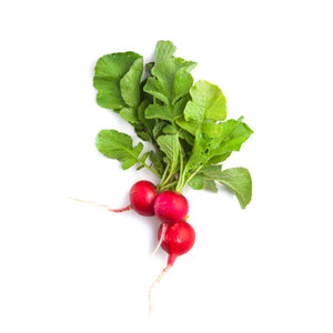 Radish