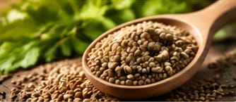 Celery Seed Extract