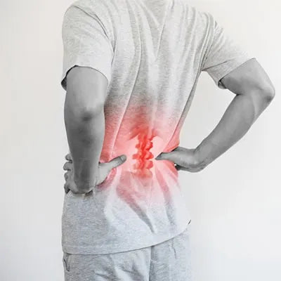 Back Pain Supplement